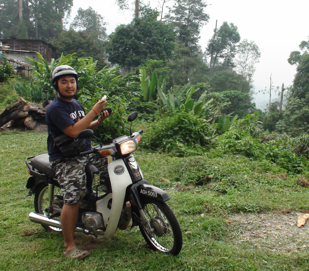 A friend on a moped in the green hills of Malaysia’s Cameron Highlands