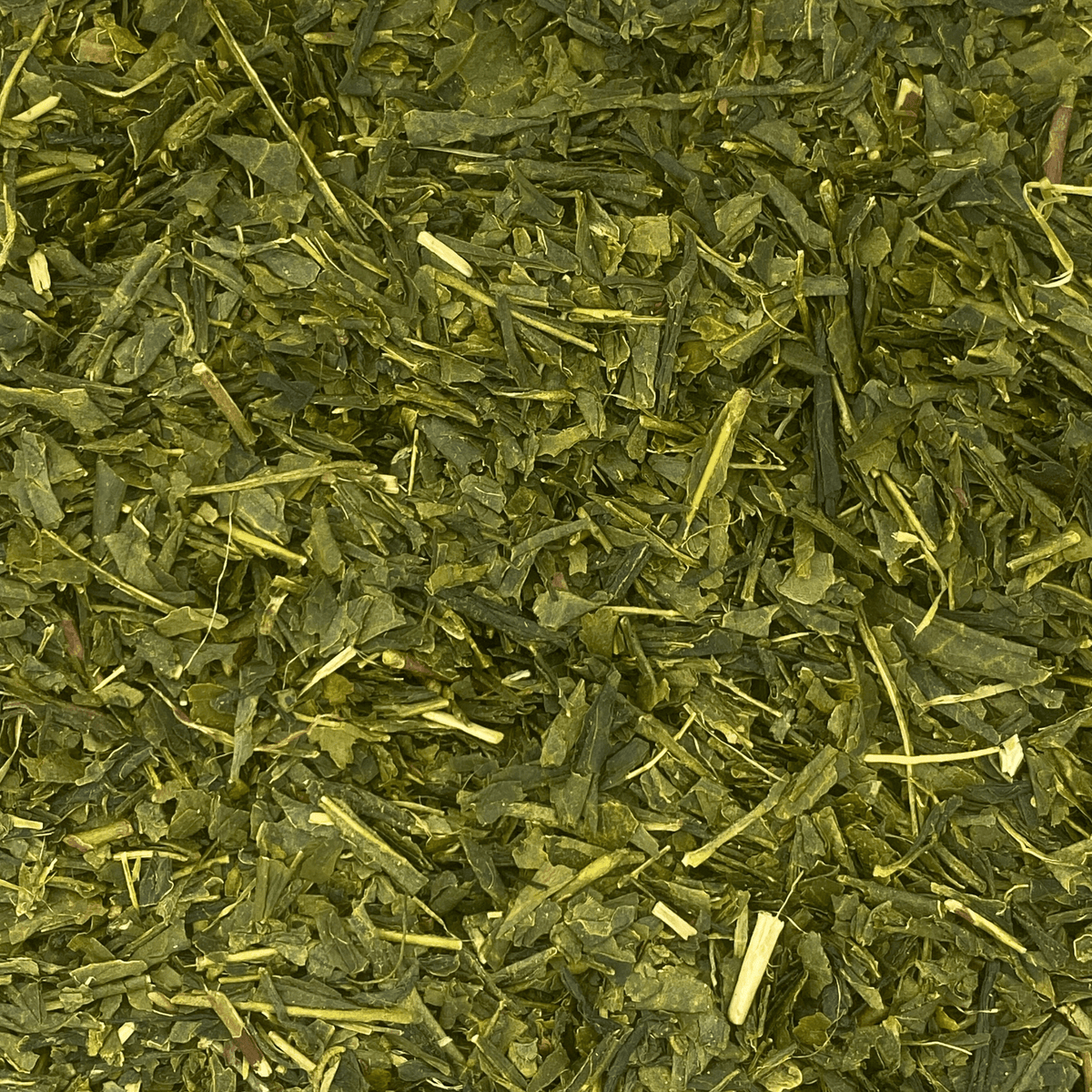 Sencha green tea from Porter Hill, grassy and fresh