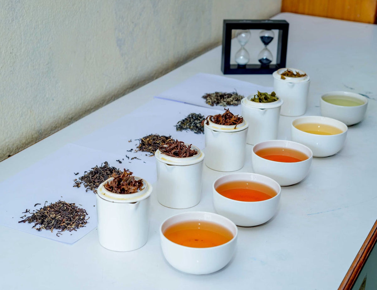Different loose leaf tea styles beside their brewed cups on a tea-tasting table