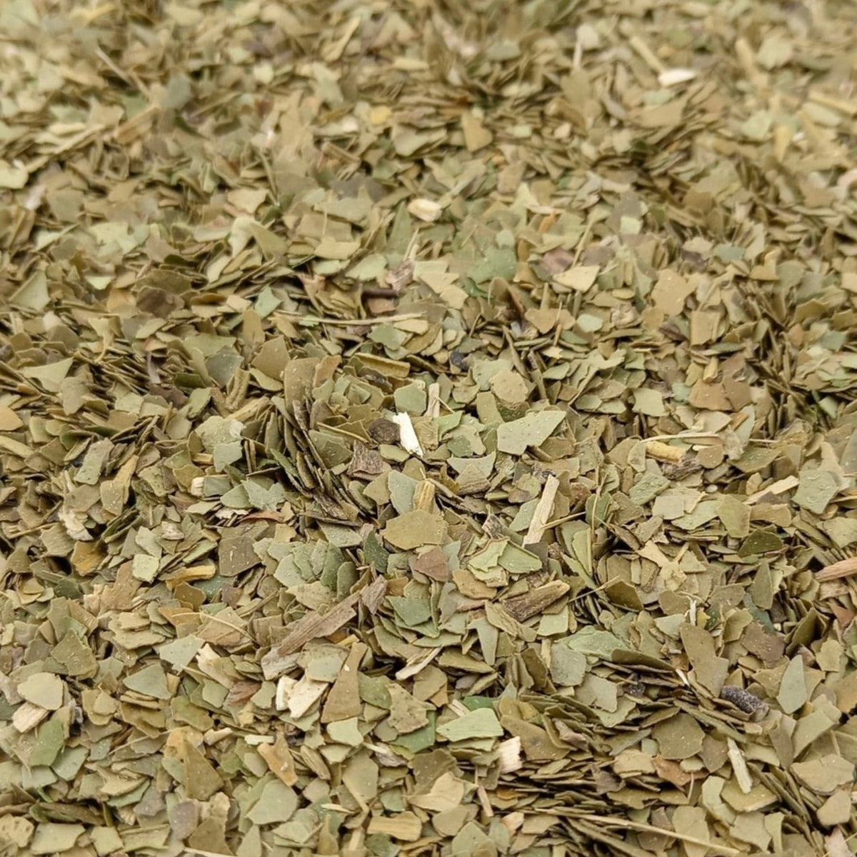 Yerba-Maté herbal tea from Porter Hill, grassy and bold