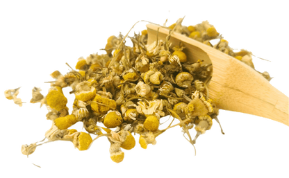 Organic Chamomile Tea