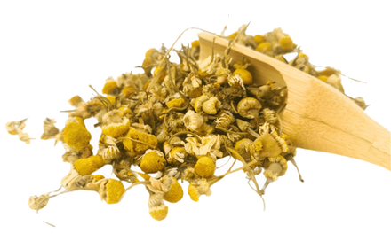 Organic Chamomile Tea, loose leaf: floral, apple and gentle