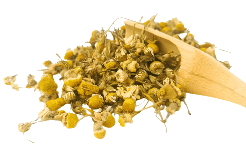 Organic Chamomile Tea