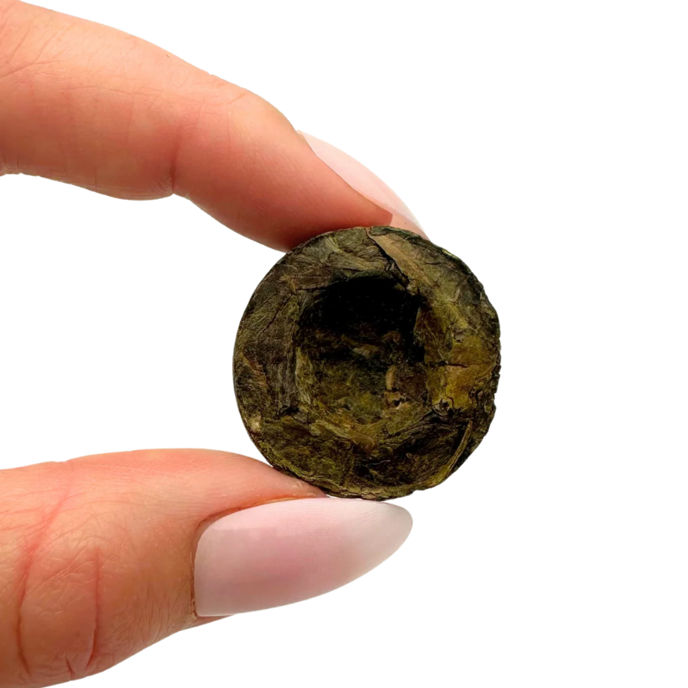 mini toucha puerh