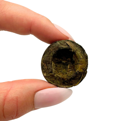 mini toucha puerh