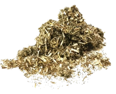 Mugwort Tea