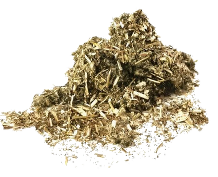 Mugwort Tea, loose leaf: herbal, bitter and aromatic