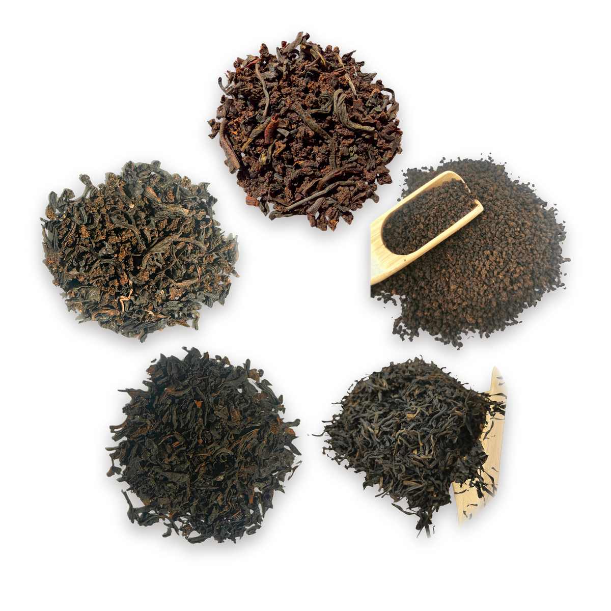 Breakfast Tea Tasting Box: the five loose leaf teas inside