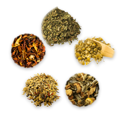 Caffeine-Free Tasting Box: the five loose leaf teas inside
