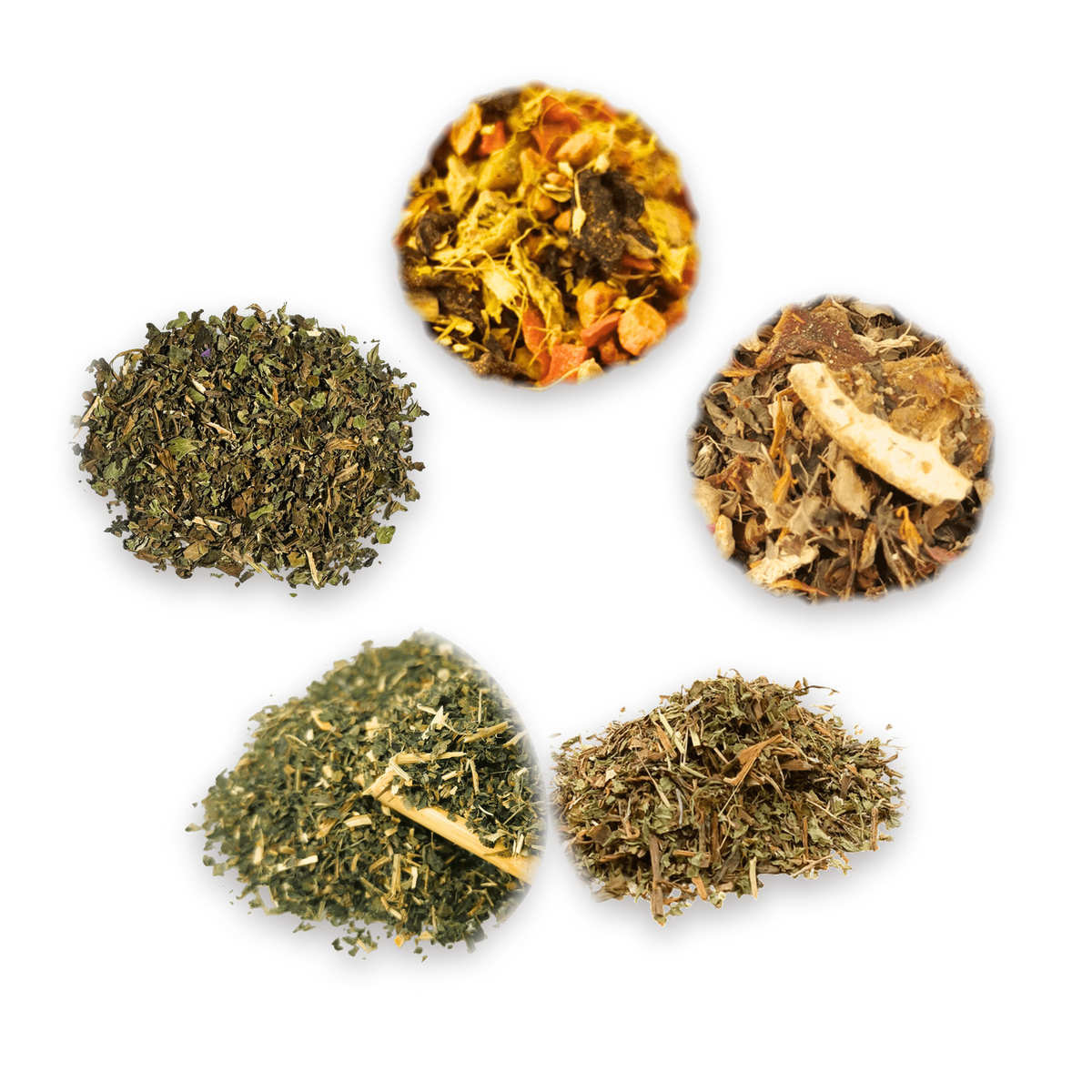 Wellness Tasting Box: the five loose leaf teas inside