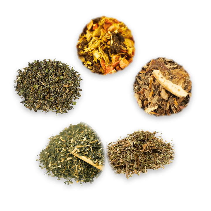 Wellness Tasting Box: the five loose leaf teas inside