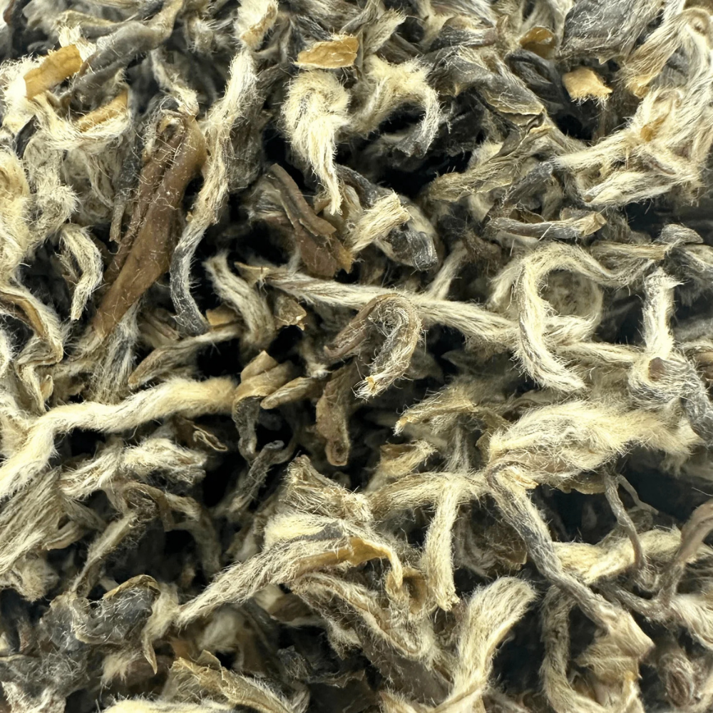 snow Yunnan loose leaf white tea