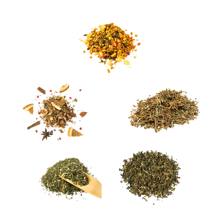 Wellness Tasting Box — five teas shown using the original product photographs